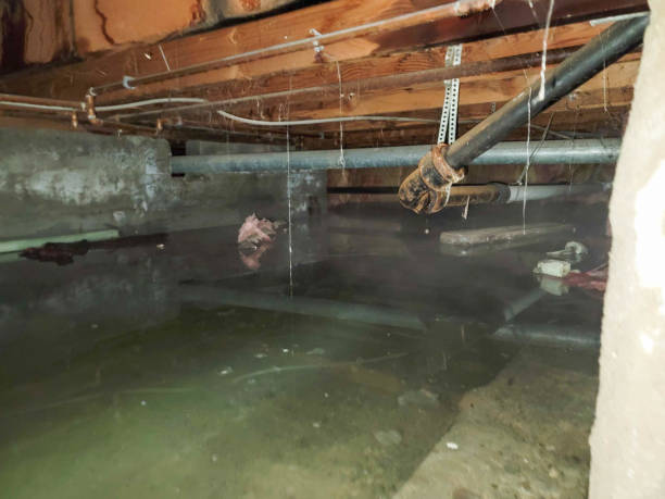 Best Emergency water damage restoration  in Juniper Canyon, OR