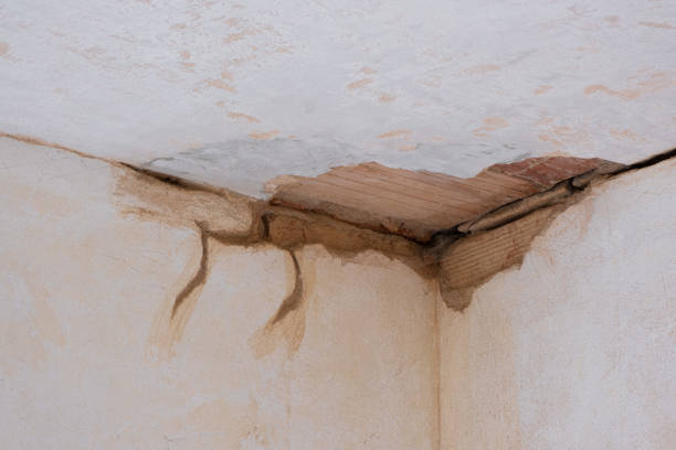 Best Water damage cleanup near me  in Juniper Canyon, OR